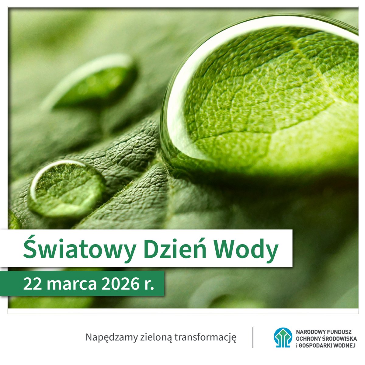 NFOŚiGW tweet media