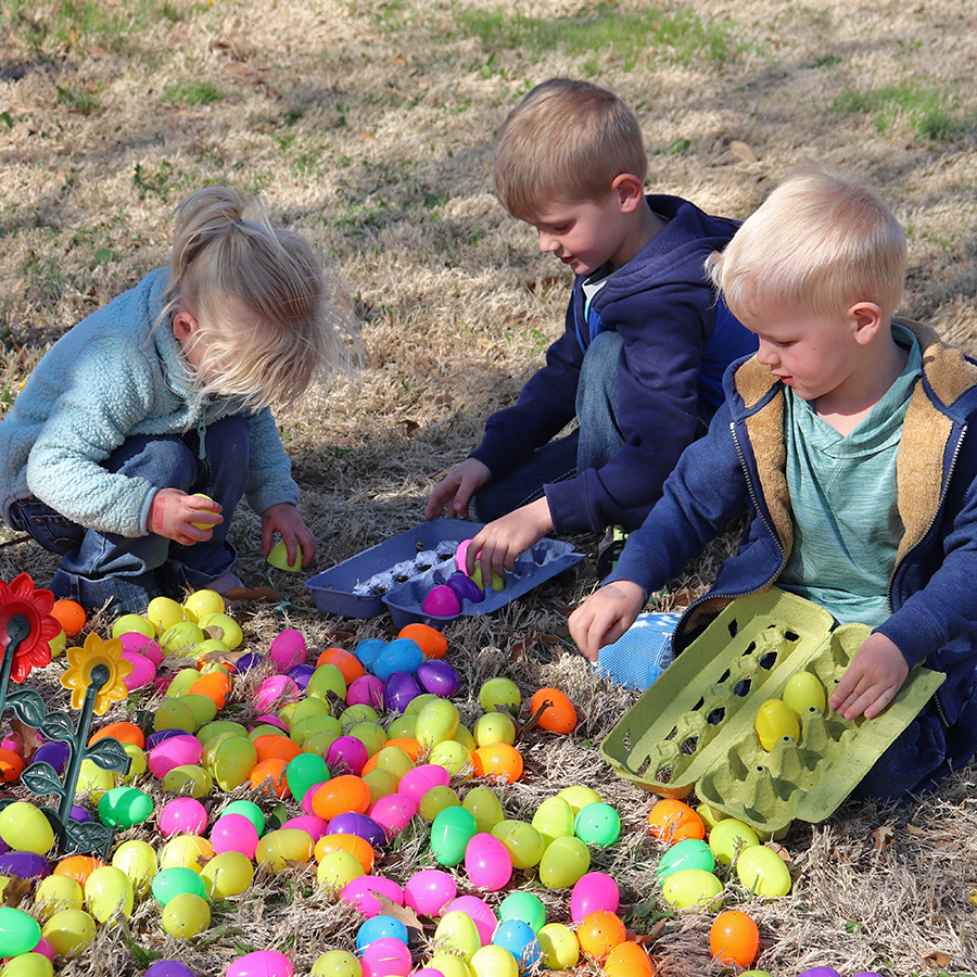 RollingHillsZoo tweet media