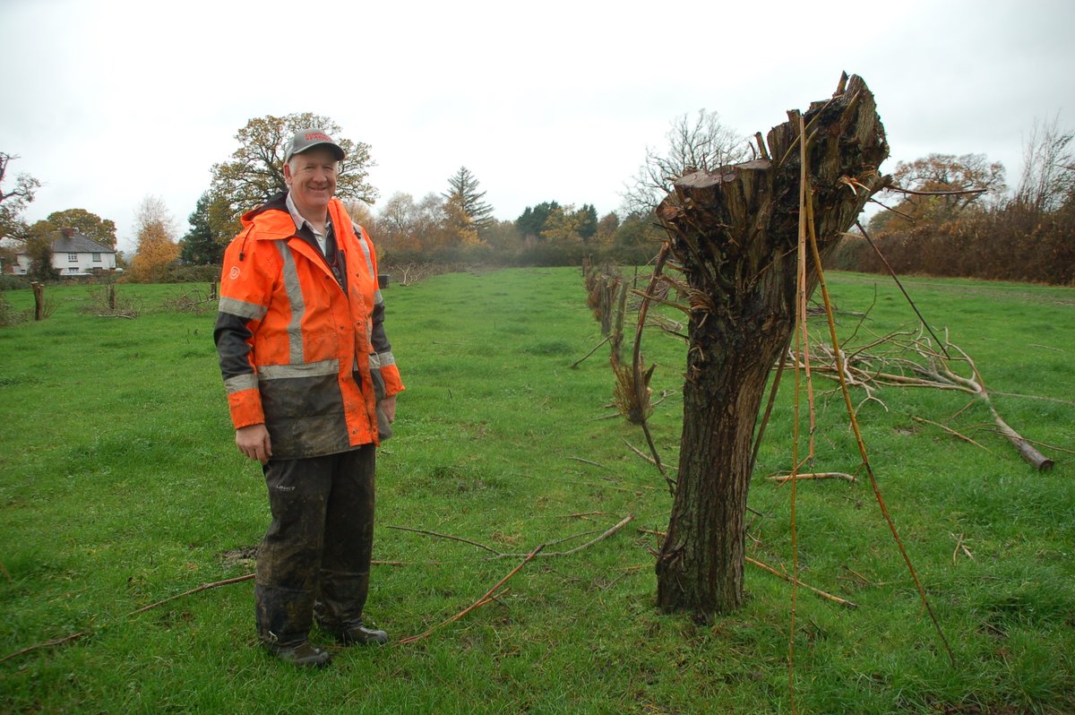 Agricology tweet media