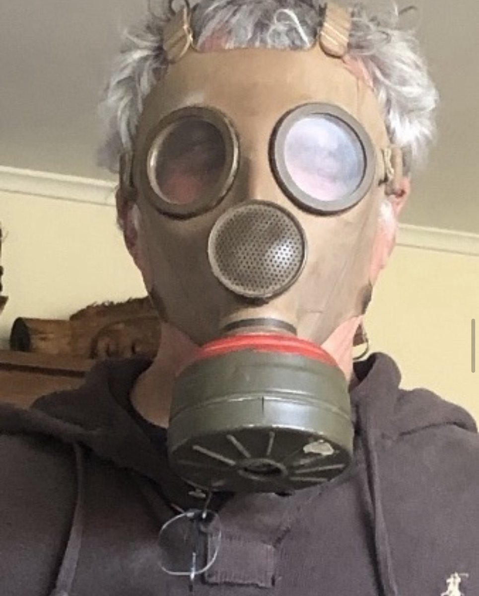 molloyoffspring's tweet photo. Not what they meant when they said wear a mask to the party. @itsdanielmolloy  they meant a masquerade mask. You’re silly. https://t.co/NRgjydYdc9