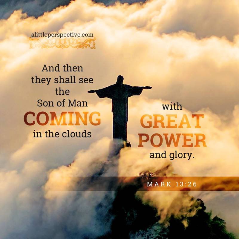 Jim Suttle tweet media