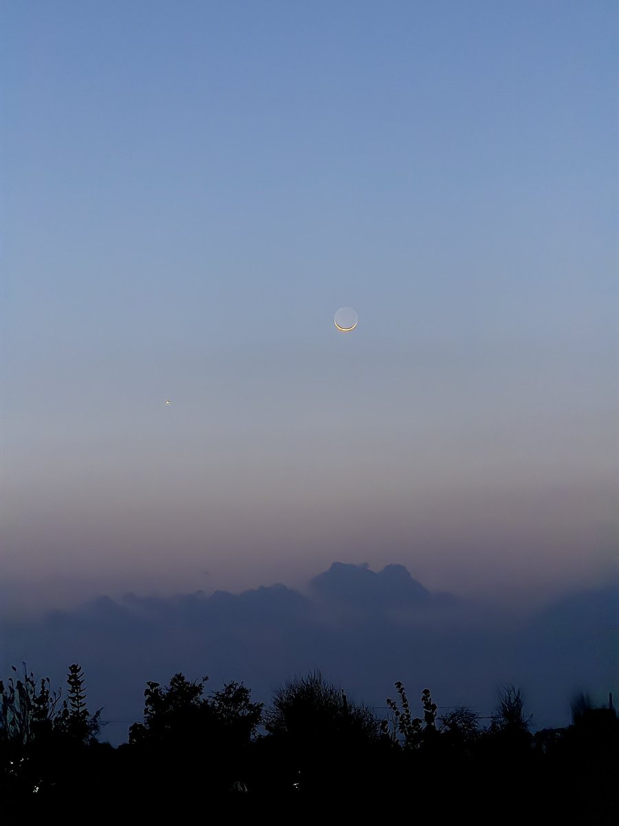मरू री मरवण🏜️ tweet media