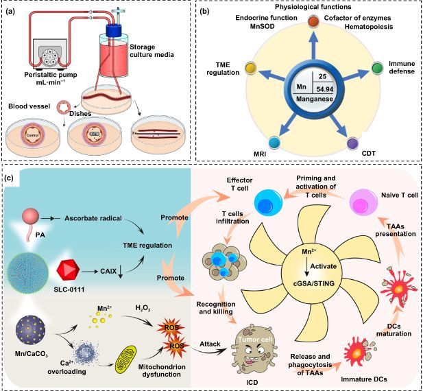 International Journal of Extreme Manufacturing tweet media