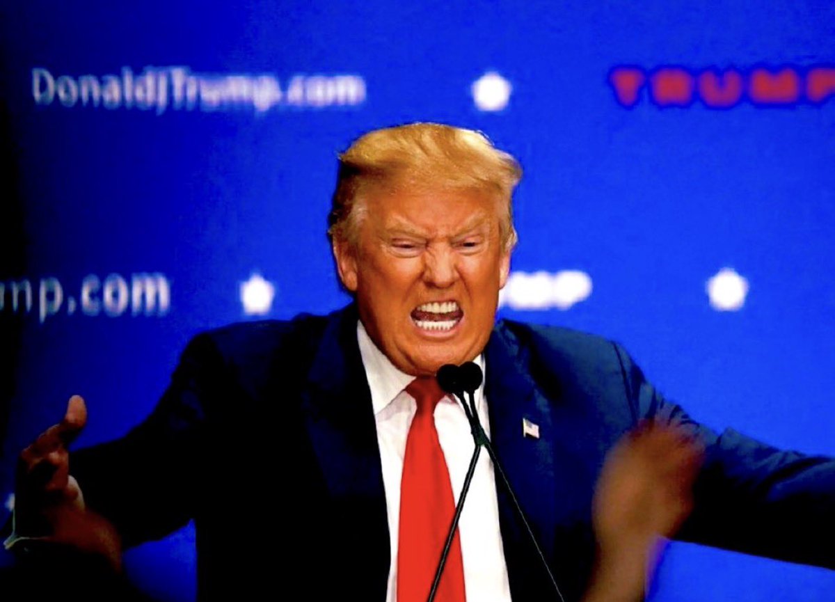 ترامب يصف الناتو بـ 'نمر من ورق' في تغريدة مثيرة للجدل