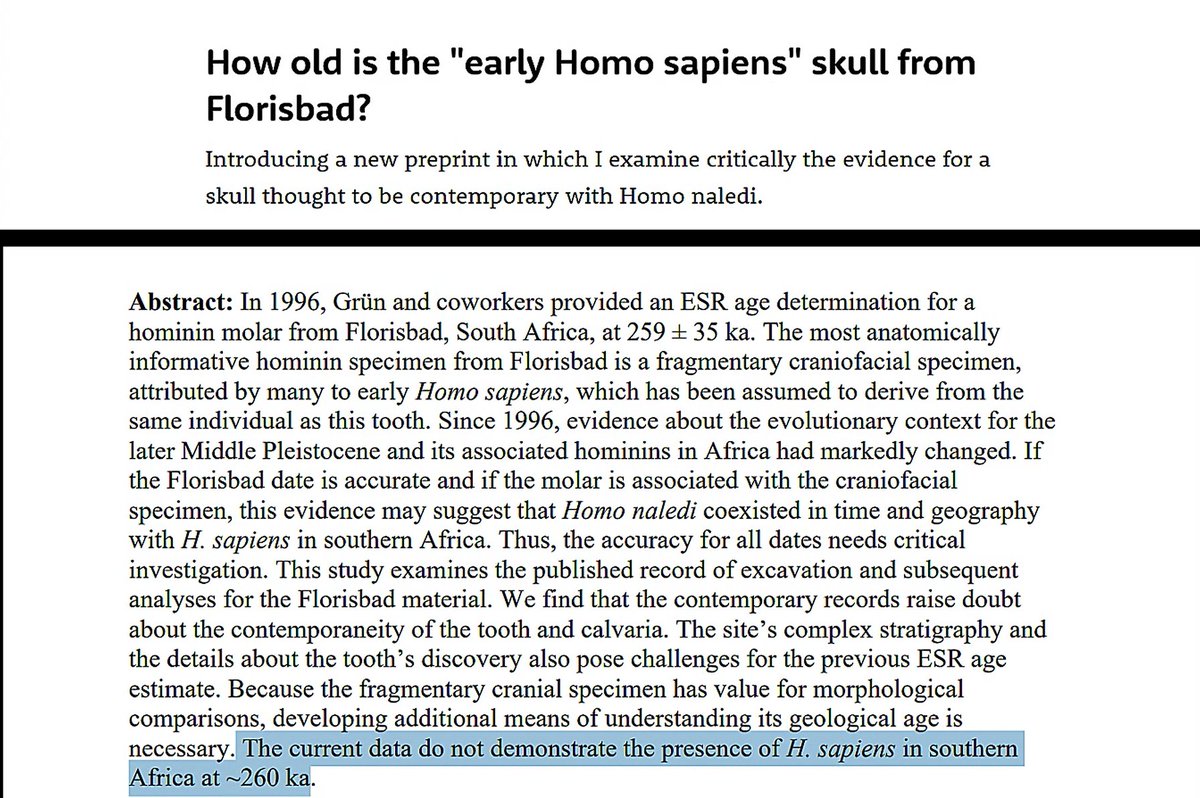 Compelling Archaeology tweet media