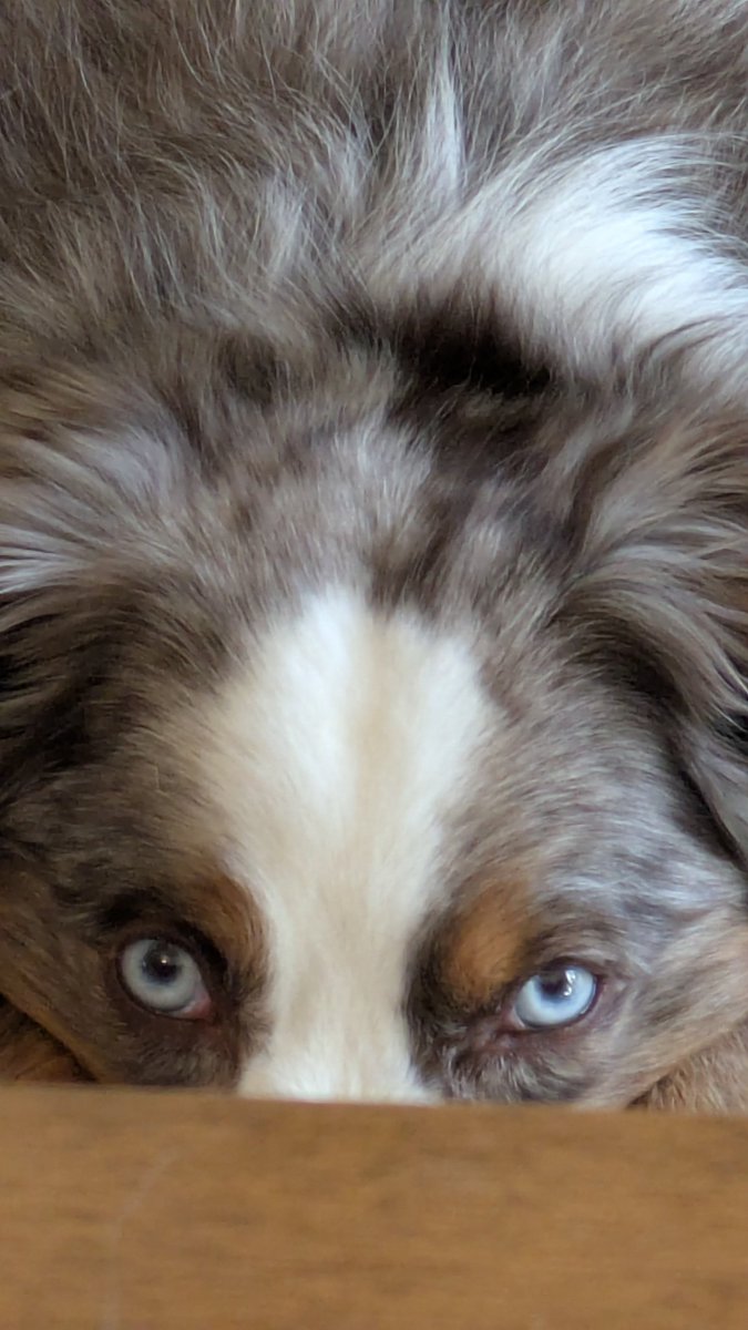 K ☕⚔️☕☕☕ tweet media