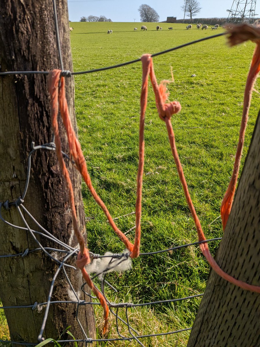 the muddy mum 💙 tweet media