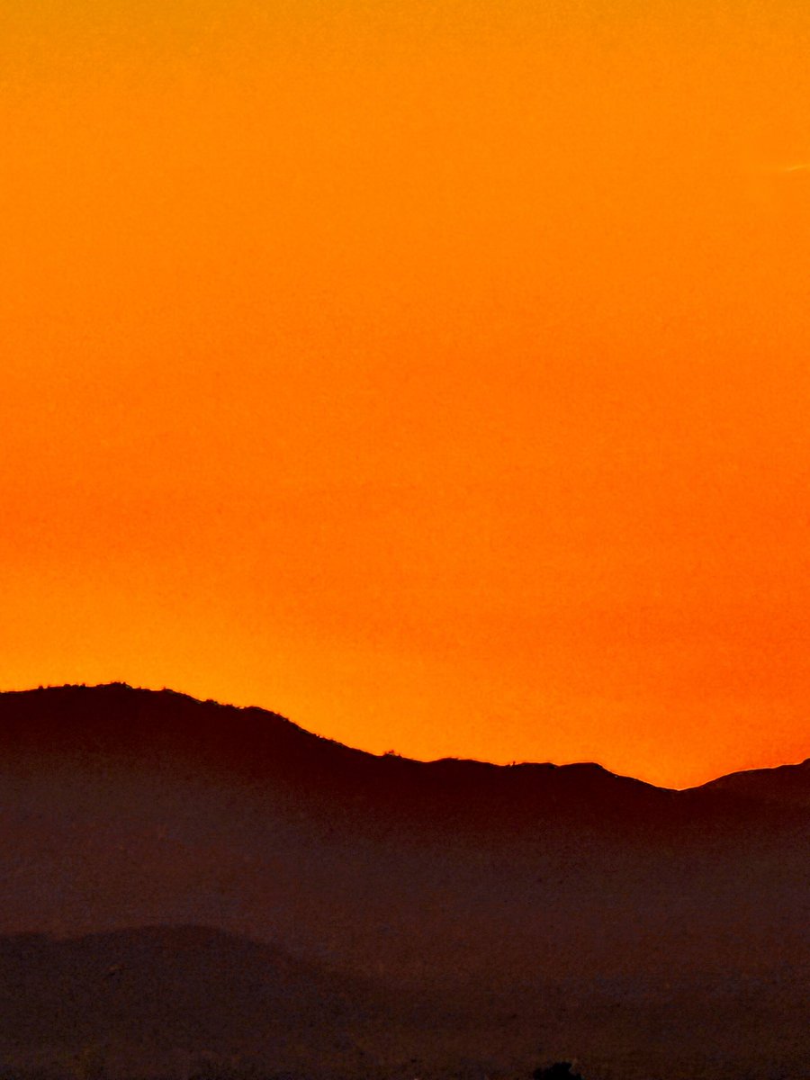 .....Todd..... tweet media