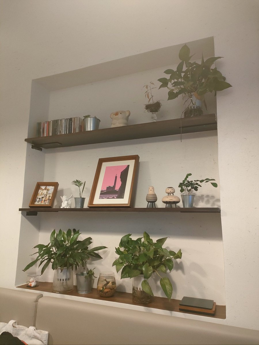 Giulio Ameglio tweet media