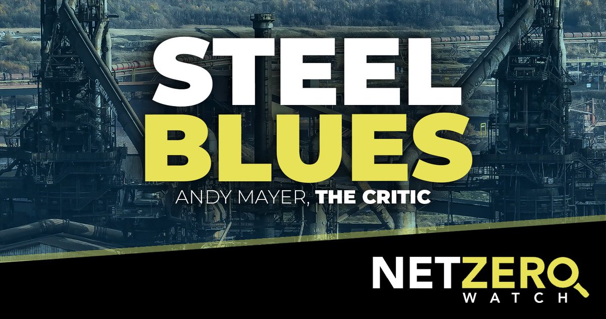 Net Zero Watch tweet media