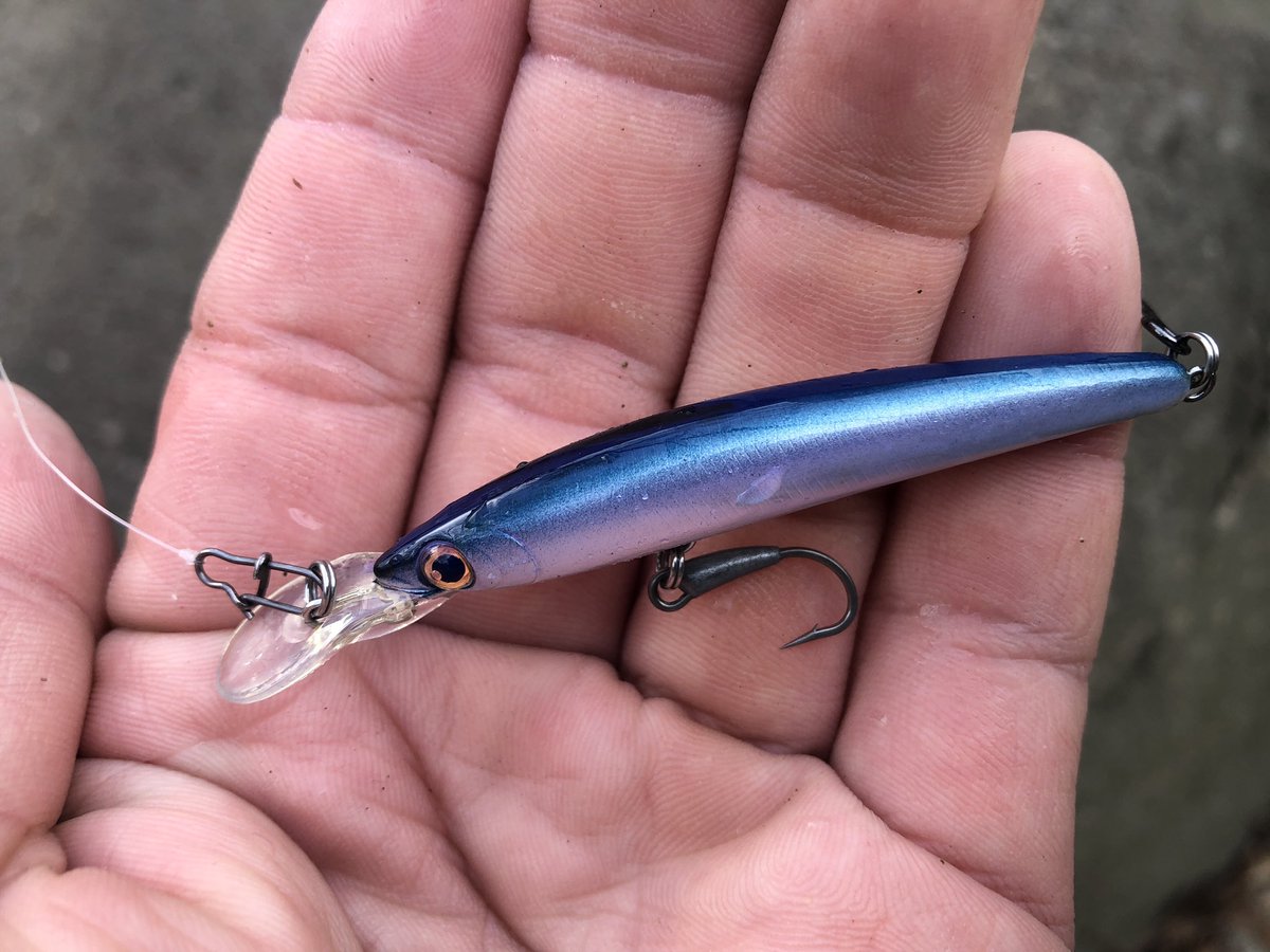 zisakukebari59's tweet photo. 今日も夕方にちょい釣り🎣
サイズは伸びないけど素直に反応してくれる癒し系アイドルに感謝✨
#北海道 #釣り #渓流ベイト #Fishman #Beams #Inte77UL #Naturum #Limited #DAIWA #ALPHAS #アメマス https://t.co/qmrNyCltCY