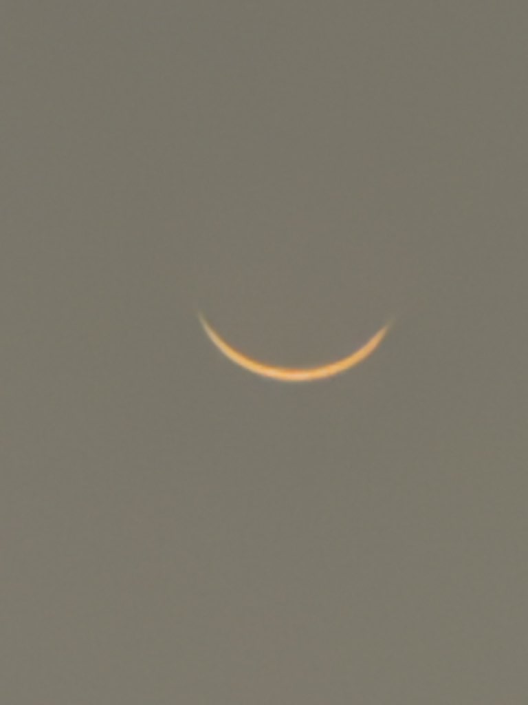 Hassan Bey tweet media