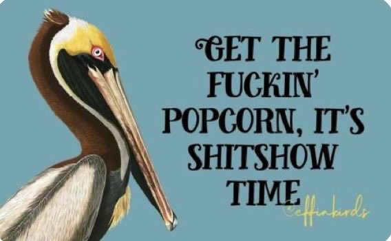 SaskLass tweet media