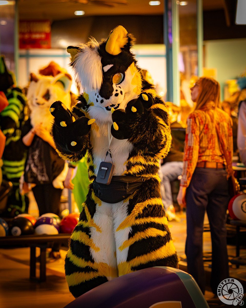 Donz🟡⚫️🐯🔜AO, AC tweet media