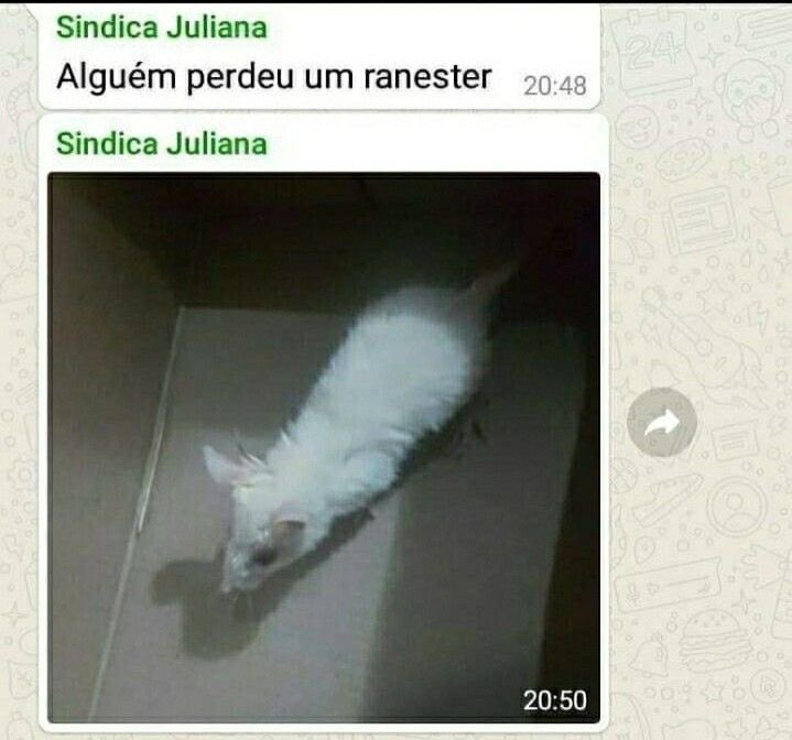 Shitpost só que de verdade tweet media