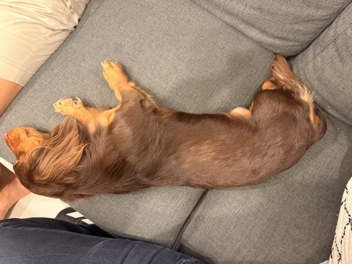 Fred Johns 🥔🥔 tweet media