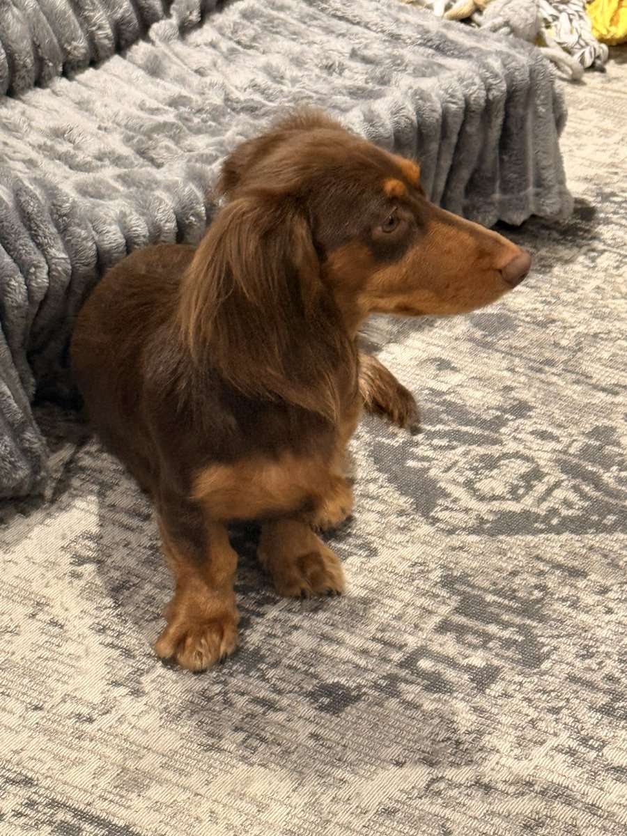 Fred Johns 🥔🥔 tweet media