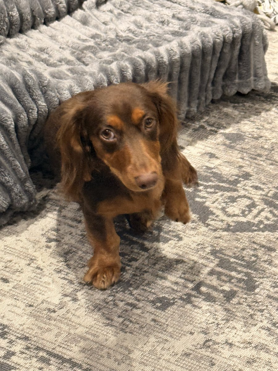 Fred Johns 🥔🥔 tweet media