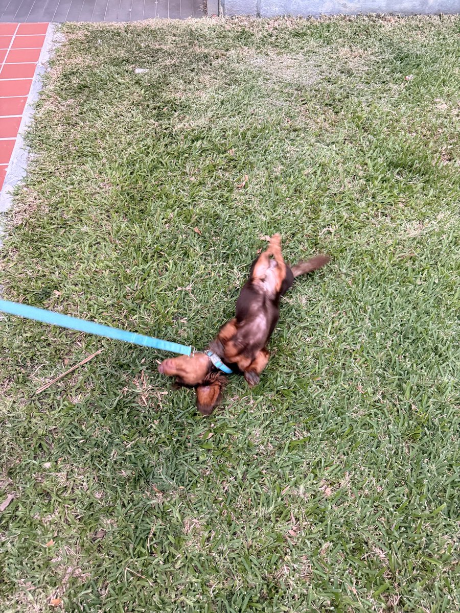 Fred Johns 🥔🥔 tweet media