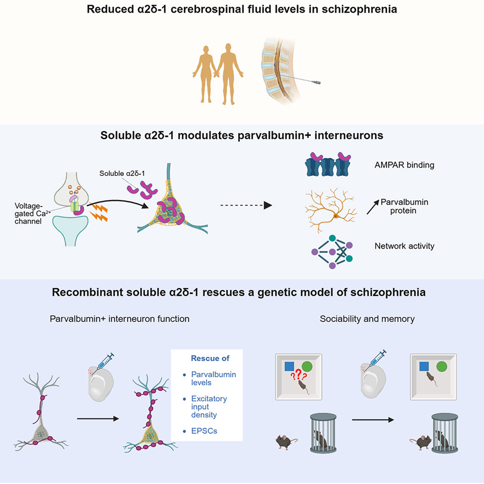 CD BioSciences tweet media