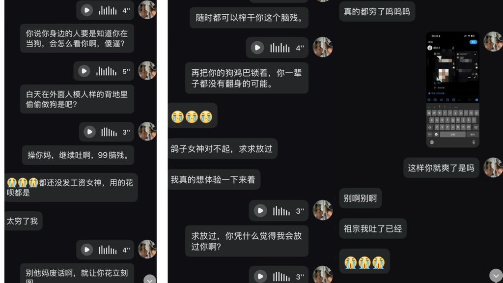 鸽子-S tweet media