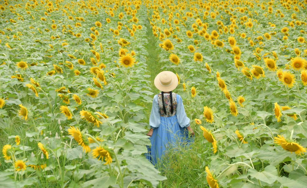 Faith Neal  tweet media