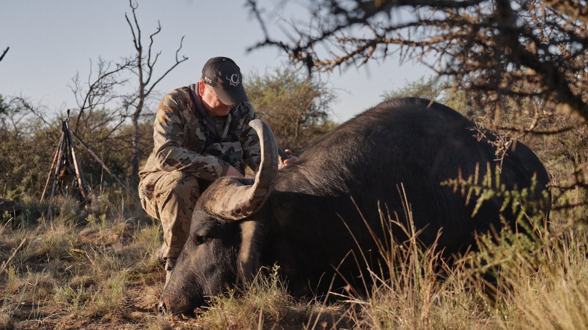 Dan Cabela tweet media