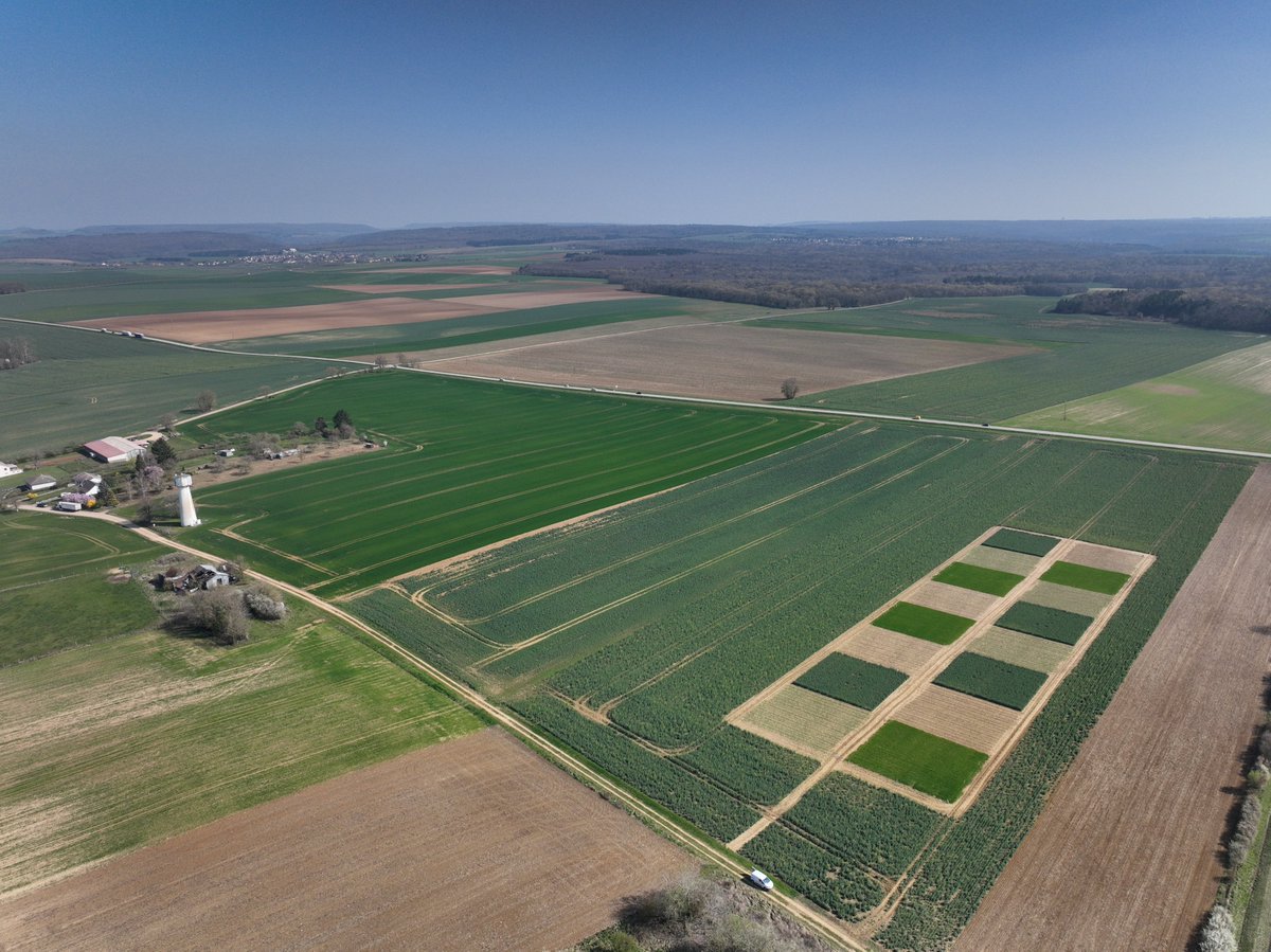 Olivier Mangenot Terres Inovia tweet media