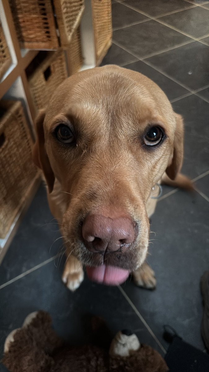 Paul Keeley tweet media