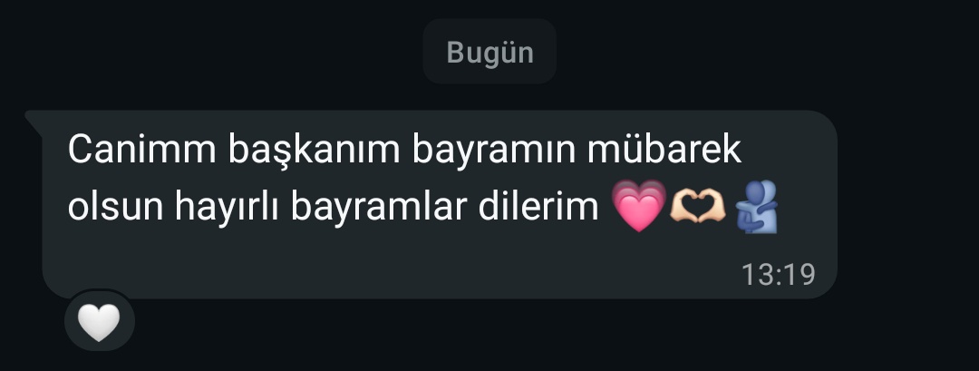 maşidenur tweet media
