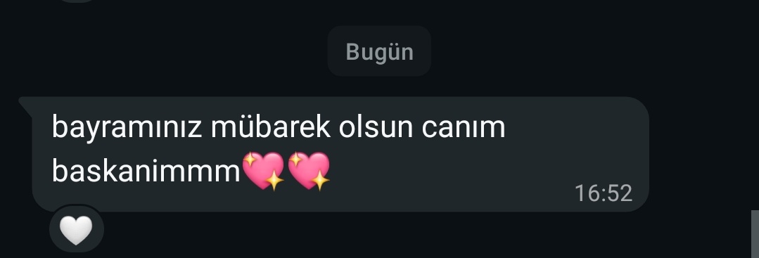 maşidenur tweet media