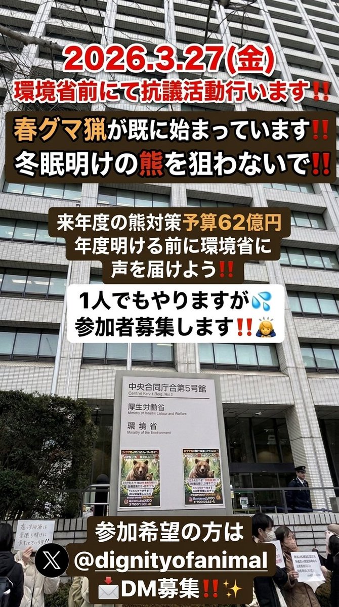 dignityofanimal's tweet photo. 冬眠明けの熊を狙う春グマ猟が既に始まっています！！
突然ですが、、💦
📣2026.3.27(金)12時〜
緊急で、環境省前にて抗議活動行います‼️✊

先日(3.17)に締め切られた、「環境省の特定鳥獣保護・管理計画作成のためのガイドライン(クマ編)令和7年度版(案)」のパブリックコメント3通送りましたが、タイムアウトで、意見全てはとても書ききれませんでした💦
直接、訴えに行くことにします！！✊

春グマ猟の即時中止を要望します。冬眠明けの親子グマ、孤児の子グマの駆除反対！
来年度予算62億円を、追い払いなどの防除、熊が戻れる山への再生、孤児の子熊の保護に使うように訴えます。年度明けるまで待てません。
参加者を緊急募集いたします🙇

もしご参加頂ける方いらっしゃいましたら、
Instagramは、@animalally2023まで、
Xは、@dignityofanimal までDMくださいませ🙇

来年度の熊対策予算62億円も確定します‼️
年度が明ける前に環境省に声を届けよう‼️✊

すでに、北海道では春期管理捕獲として、冬眠明けの熊を捕獲駆除する、春グマ猟が始まりました。昨年は2月末の時点で、22頭が捕殺されました。
人間に運良く見つからず、お腹を空かせながら辛い冬を乗り越えて、これから、春を迎えた山の芽吹きの山へと向かおうとしてる矢先に。
冬眠中に木など穴の中でクマは出産し、母グマは飲まず食わずで赤ちゃんグマに授乳し子育てし命がけで赤ちゃん達を守ります。
ようやく春が来たと、子供達を連れて外に出てきて、春の訪れを感じる空気を吸った瞬間、人間に見つかり、殺されてしまう。

この冬、生まれたばかりの子熊にとって初めての春、初めての山の暮らし、まだ何も知らない。
どのように寝床を用意すればいいのか、どのようにご飯を探せばいいのか、、
母グマは、子グマと連れ添い歩きながら、1年半〜2年半の間に、子グマに生きる術の全てを教えます。
その第一歩を踏み出したところで殺害するとは、なんと自然の摂理からしたら不条理で、非人道的な行為でしょうか？

春は、生命が誕生し、これから生きていくためのエネルギーがみなぎろうという季節です。

私は、春グマ猟というものに断固反対です！✊
親子グマ、孤児にされた子グマの駆除にも反対です！✊

冬眠から目覚め、穴から出てきたクマ達が、山に帰れるよう見守ってください。
赤ちゃんグマが、ヒョコヒョコ出てきただけでビックリして、箱罠を設置するのではなく、まず追い払いをしてください。
電気柵の設置、クマが忌避するサイレンを鳴らすなどして、クマ達を山に戻す努力をしてください。荒れた山をクマが棲めるように、里に降りる必要がないよう、環境改善に努めてください。

もう来年度の熊対策費としての予算62億円が確定してしまいます。それが、各自治体に分配されます。
各自治体は交付金を多く貰おうと躍起になって、先端技術を駆使したドローンなどの装置やライフル銃を購入し、戦闘チームを組んで、準備万端、待ち構えています。
ハンター達も来年度はクマを駆除すれば報奨金も沢山もらえると張り切っていることでしょう。

もうすでに今年度は1月末時点で、14134頭も殺しているのに。これは、昨年の捕殺数、5135頭の3倍近くにのぼります。
そして、捕獲しても捕殺しなかった数は、逆に昨年の210頭に対し、逆に半分に下がりました。
国が捕殺を歓迎する施策にしたためです。
岩手県は、さすがは宮沢賢治生誕の地と、数年前までは、放獣を進める素晴らしい県だと思っていたのに、コロスことを面白がる議員ハンターが注目を浴びるなど、豹変してしまいました。

先日(3/17)締め切られた、「環境省の特定鳥獣保護管理計画作成のためのガイドライン(クマ編)令和7年度版(案)」のパブリックコメント、私もかなり必死に書きました。もっと送りたかったのですが、間に合わず😓
パブコメに書いたこと、書けなかったことを、環境省に直接伝えに行きたいと思います！！✊

もう春期管理捕獲が始まってしまいますし、まもなく来年度予算も確定し、新しいガイドラインの策定も進んでいる所。

今、年度末で退職者がいたり、異動の時期でバタバタしてるから、年度が明けるのを待ってからとも迷いましたが、
やはり、今こそ！年度が明ける前に、抗議しなければならない内容だと思いました。
一人でもやるつもりですが、同じ思いの方と共にやれたらいいなぁと🙏😅

Instagramの方は、
@animalally2023
Xの方は、
@dignityofanimal
まで、DMくださいませ🙇
どうぞ宜しくお願いします🙏

尚、警察の許可は得ております(先日丸の内警察署に赴き趣意書等提出済)。
また、環境省が入っている中央合同庁舎5号館の庁舎管理担当にも確認済です。

第2回目を年度明け新体制のもと、4月17日(金)か24日(金)あたり予定しています。

#クマ #熊　#熊を守ろう #savethebears 
#春グマ駆除反対