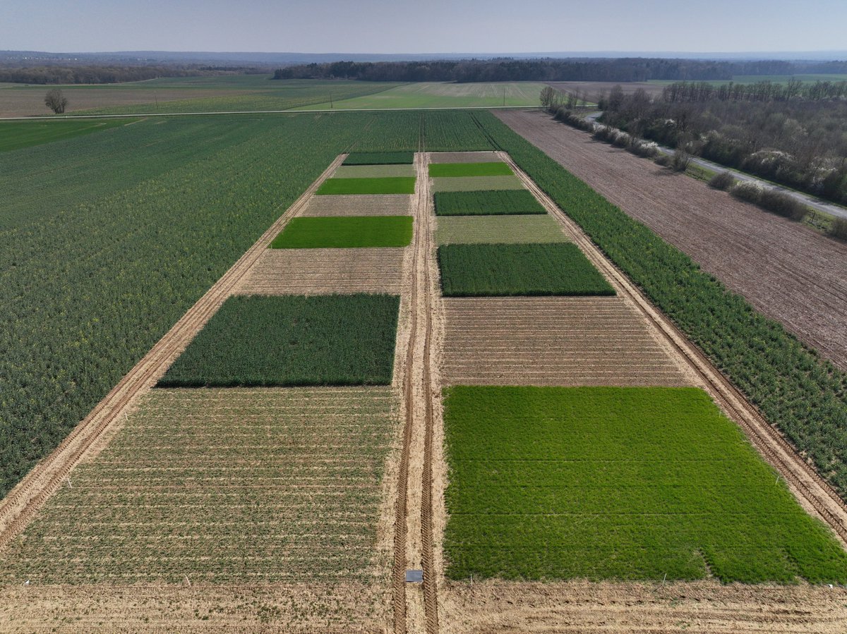 Olivier Mangenot Terres Inovia tweet media