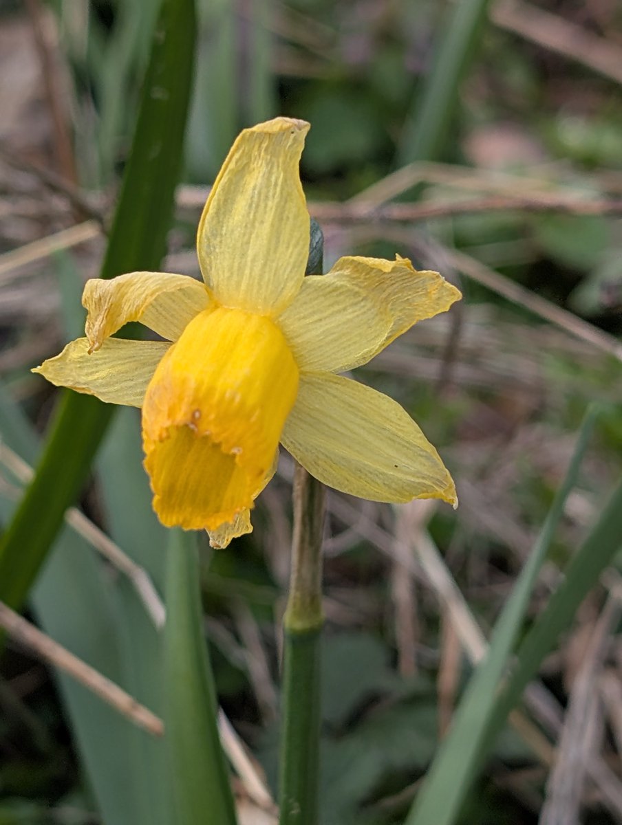 Louisville Air Pollution Control tweet media