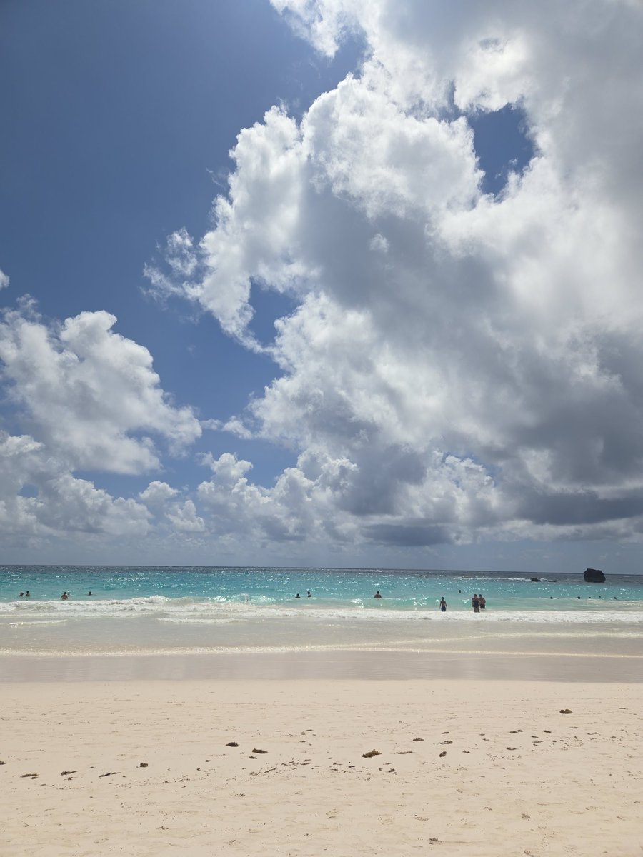 Miss D is bonobochick on bsky + tumblr too 📚 📺 tweet media