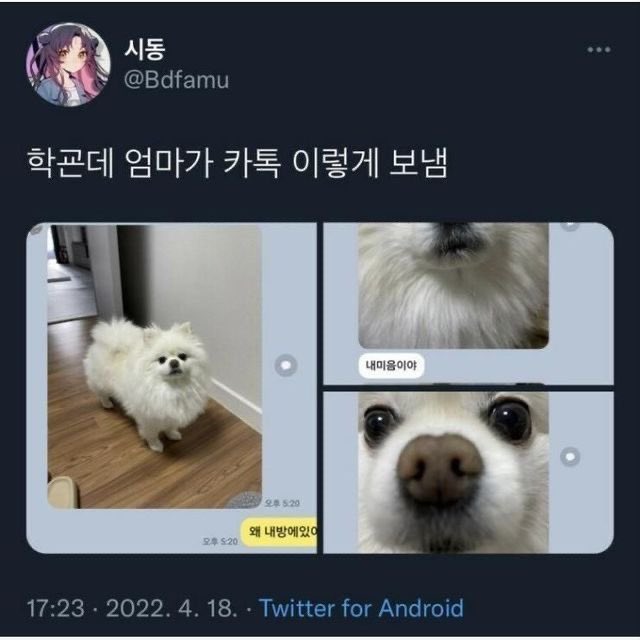 lovx11_very's tweet photo. https://t.co/qrebpWZC8V