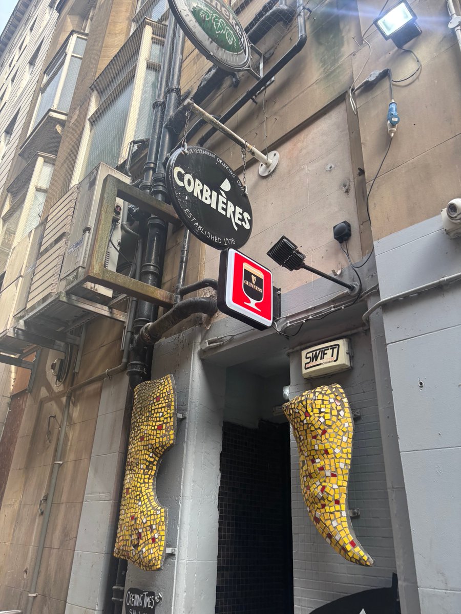 Carl 🐝 tweet media