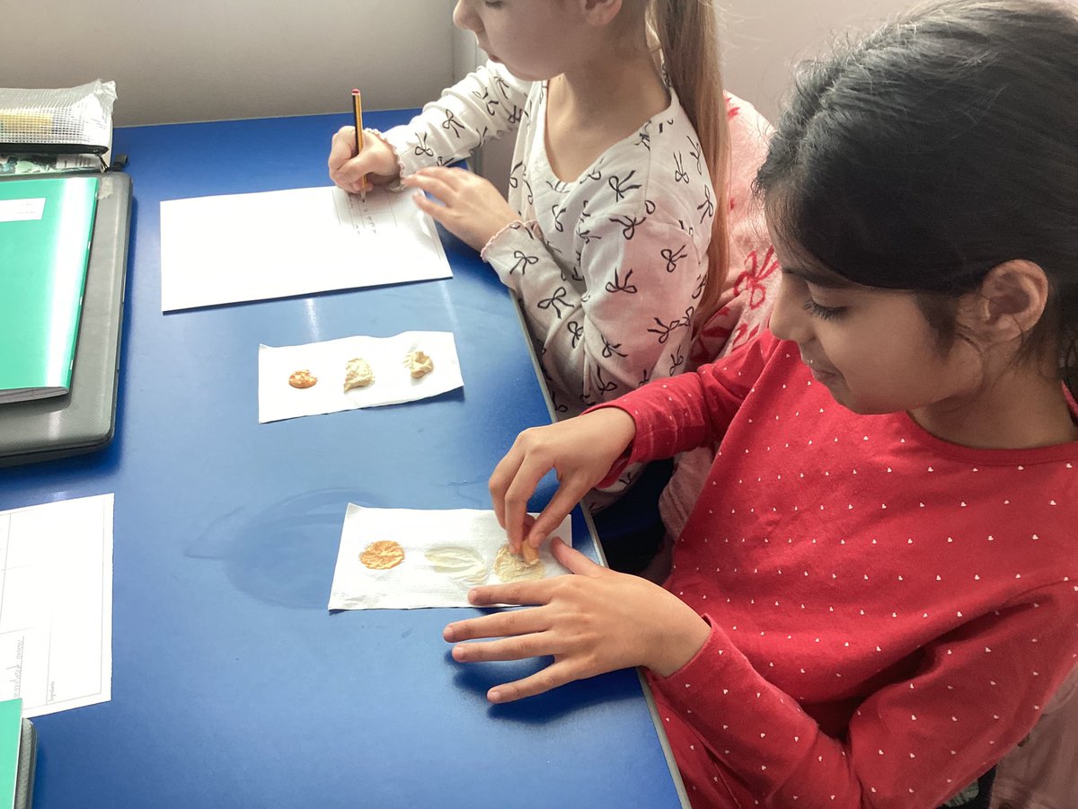 Yew Tree Primary School tweet media