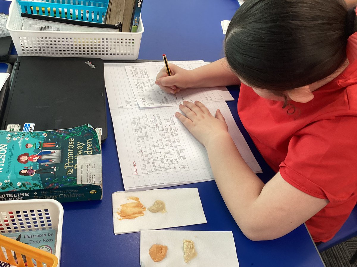 Yew Tree Primary School tweet media