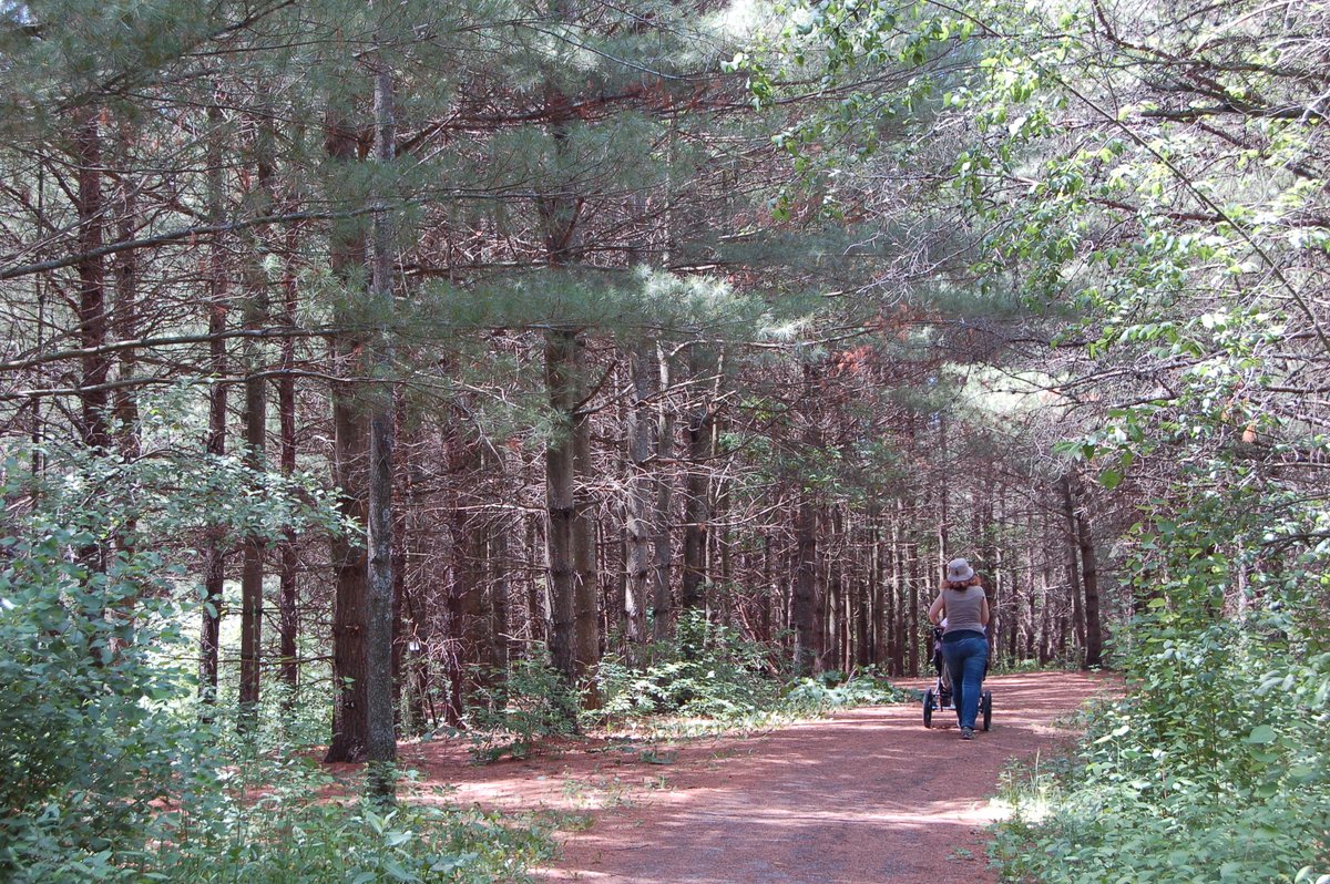 Conservation Ontario tweet media