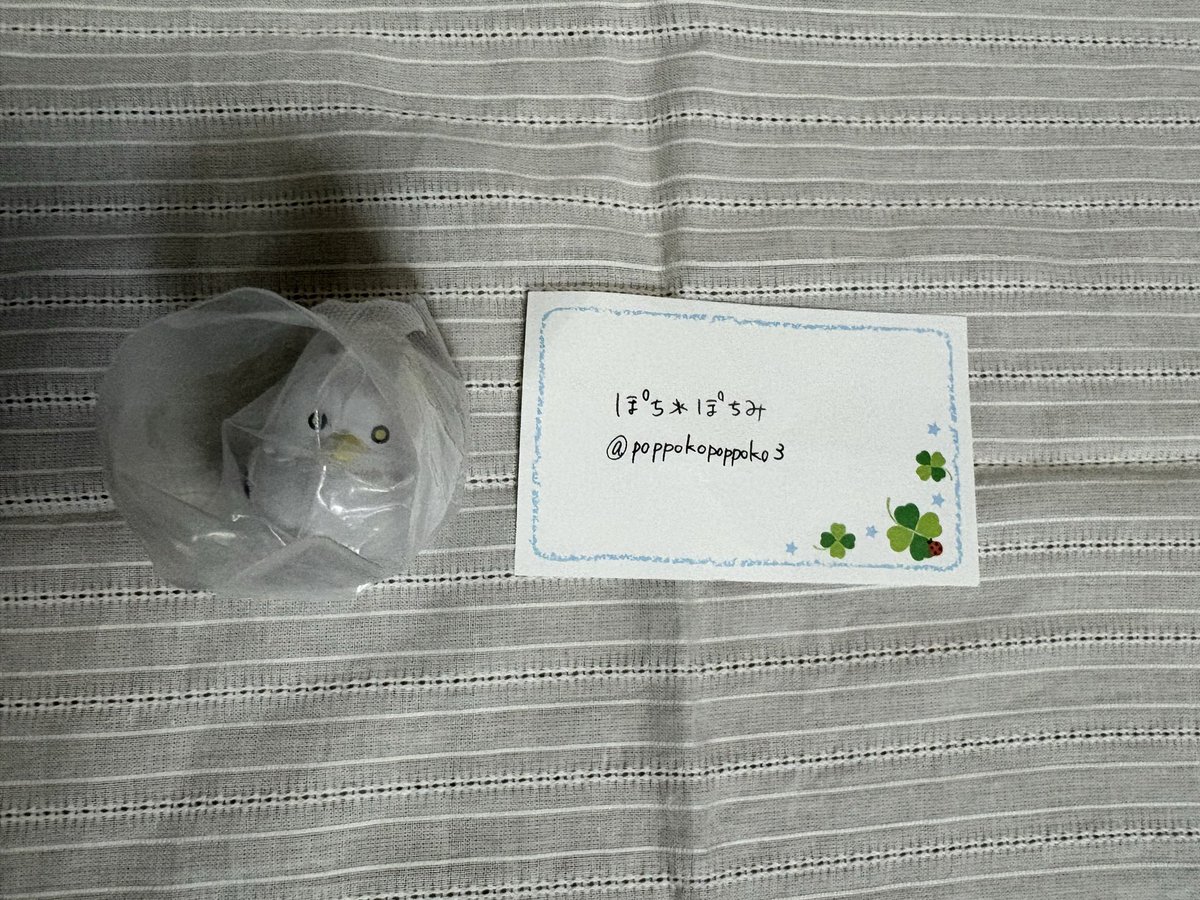 ぽち❇︎ぽちみ tweet media