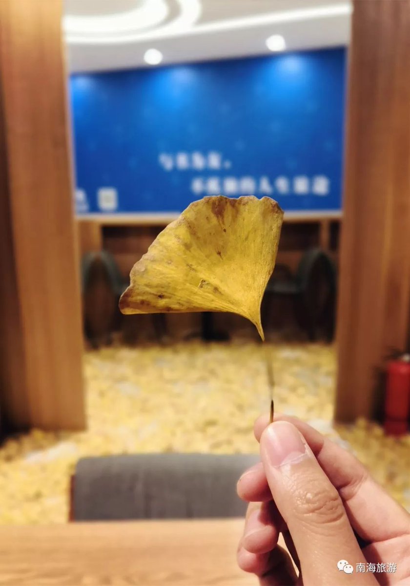 Smitrlove tweet media