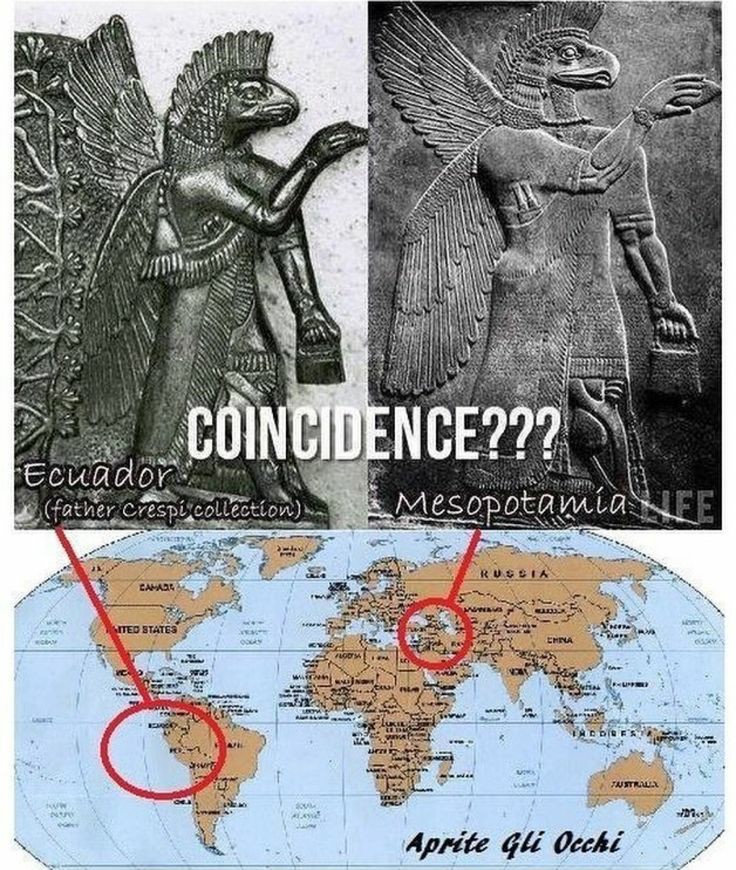 occultbot tweet media