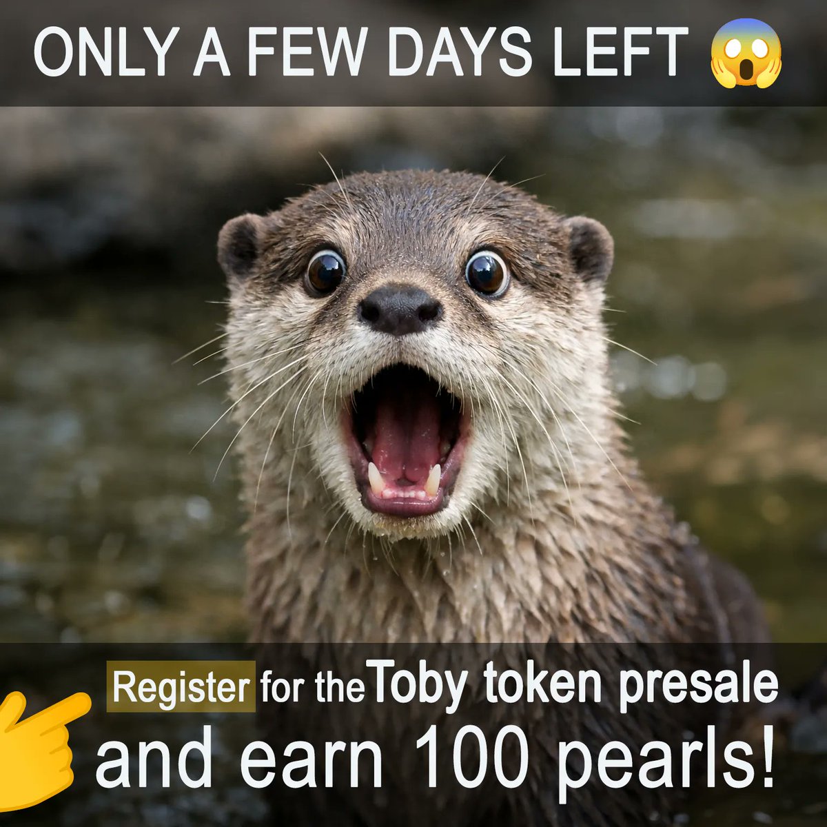 Crypto GonSAN tweet media