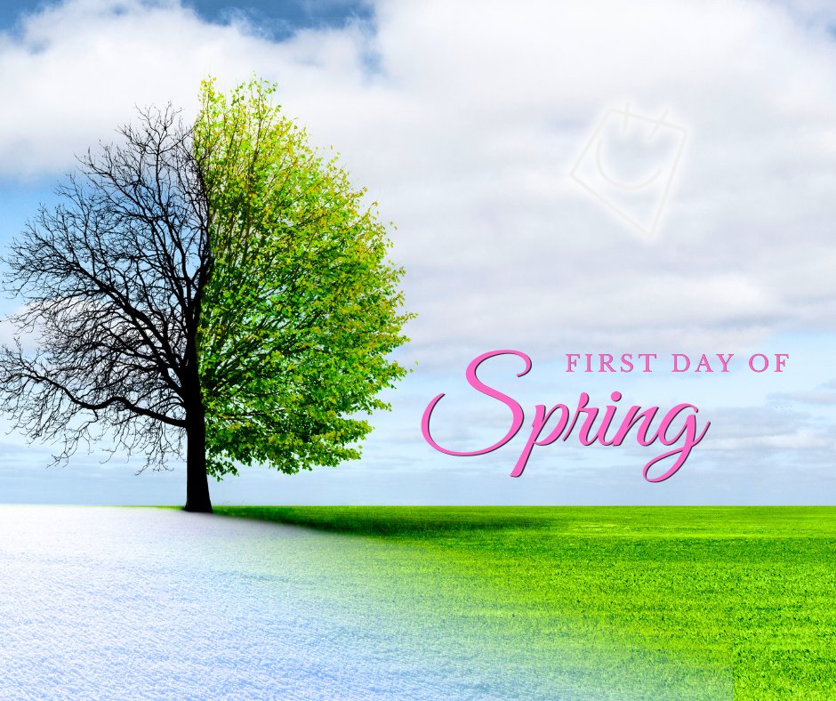 Wayne County FCU tweet media