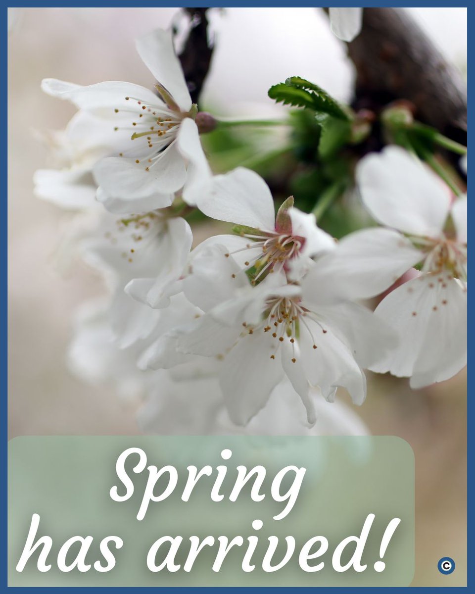 clevelanddotcom tweet media