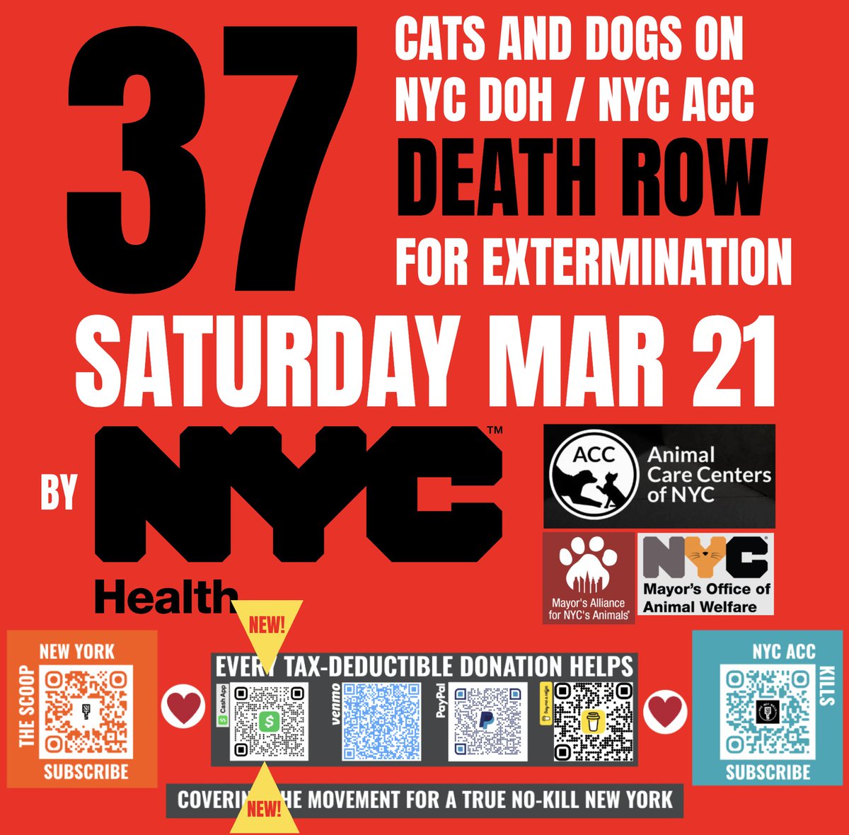 The Scoop New York • Subscribe Today! tweet media