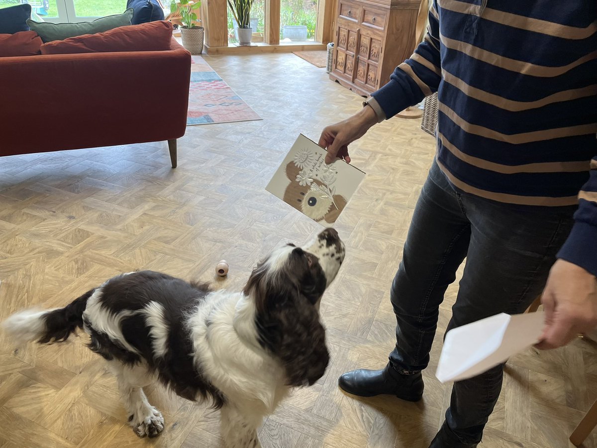 EDDIE Heir 2 AdsDogCharlie tweet media