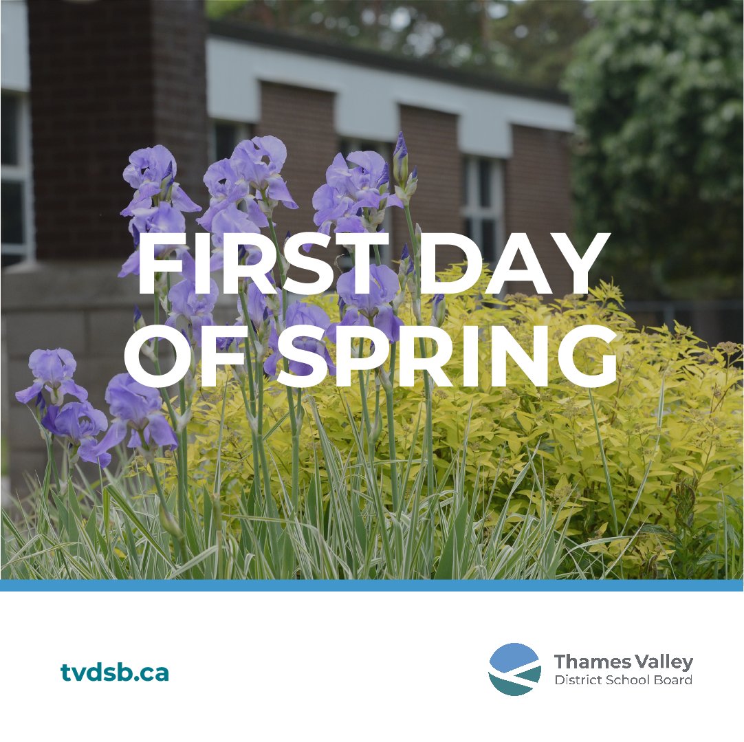 Thames Valley DSB tweet media