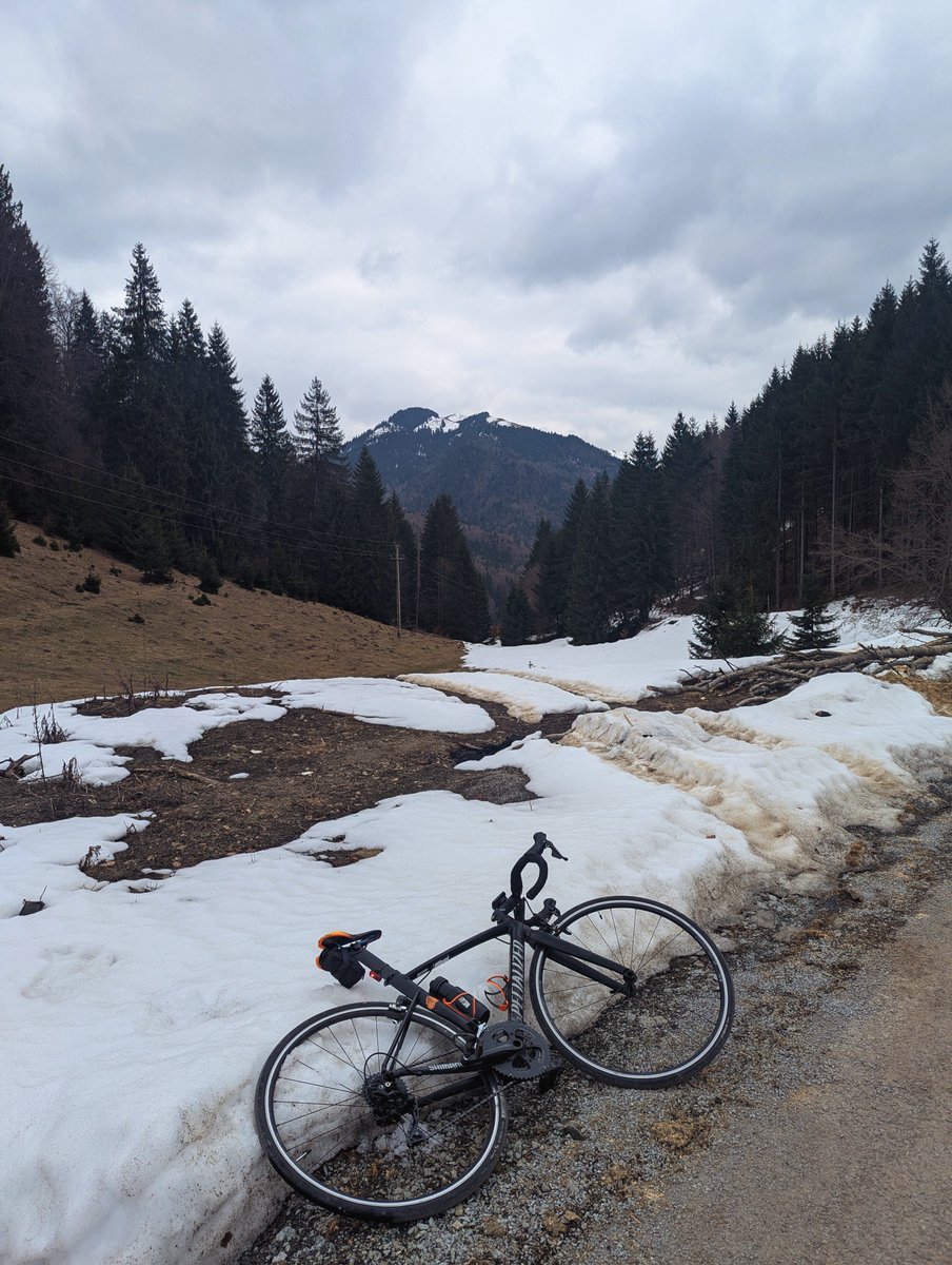 Mihai Simion tweet media